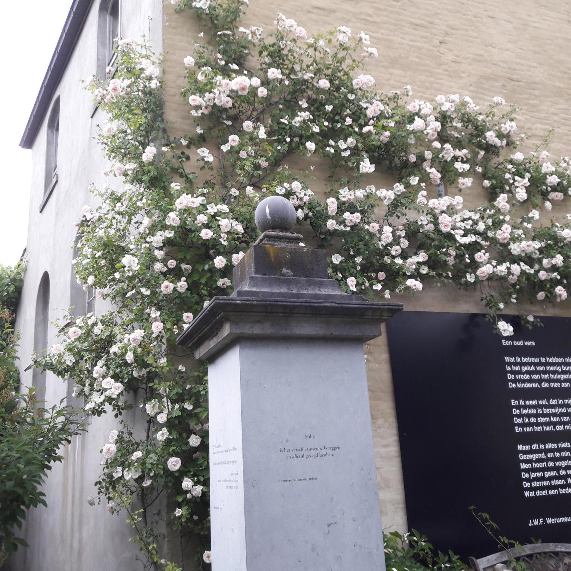 Rosario Bed and Breakfast Bever Exteriör bild